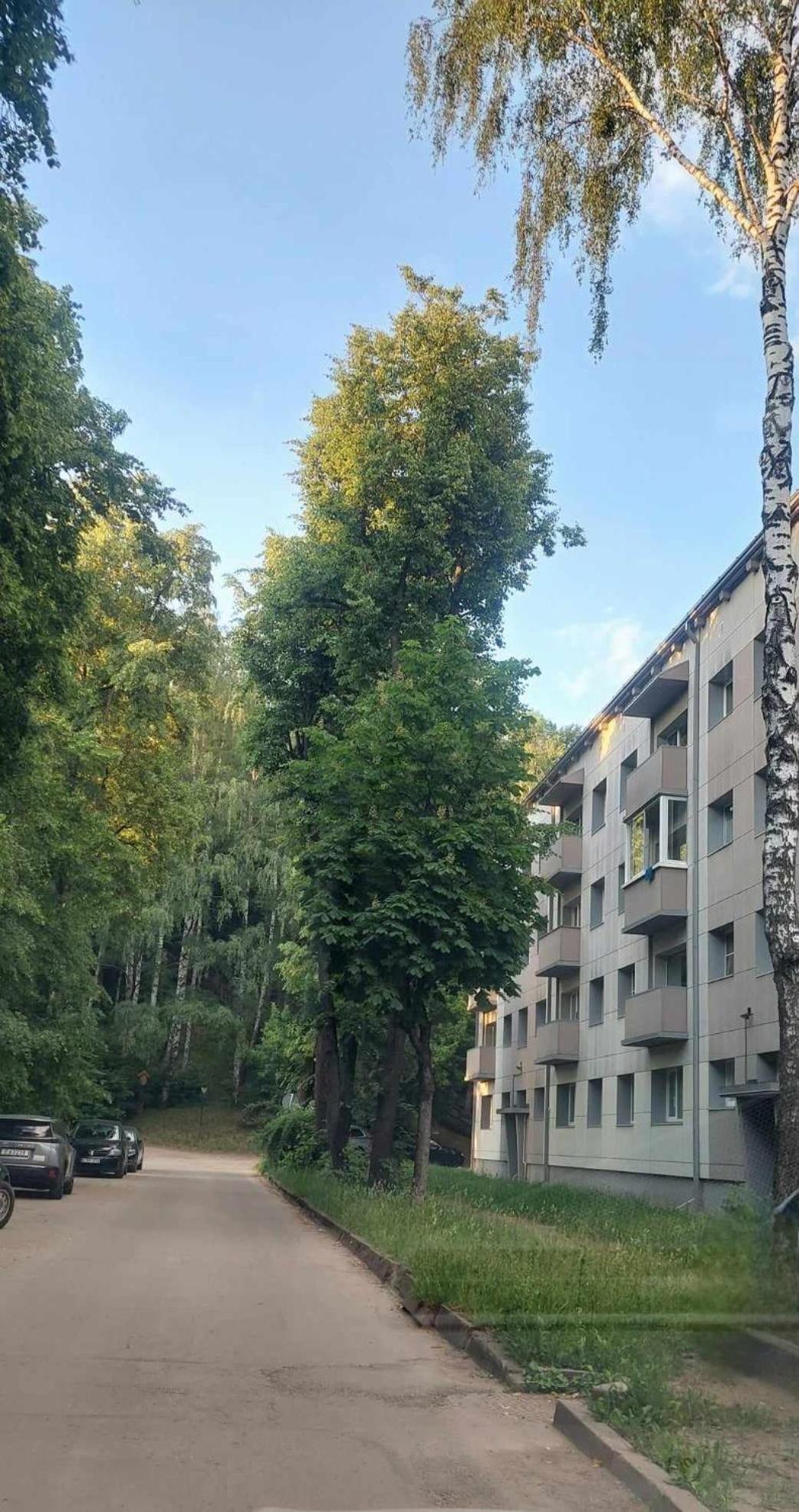 Raudondvario II Kaunas Ngoại thất bức ảnh